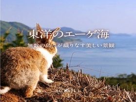 『想い出の品』として