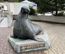 おすすめ!城崎マリンワールドチケット付きプラン