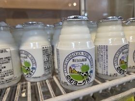 飲むヨーグルトはいかが?