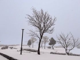 12/22朝の鏡ヶ成「奥大山」