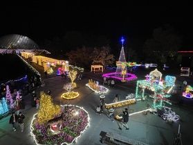 クリスマスイヴ🎄奥大山のイベントとイルミネーションのご紹介