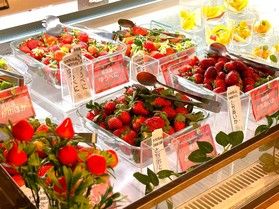 ブランドいちご紹介～恋みのり～
