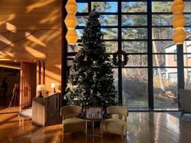 今日はクリスマス🎄