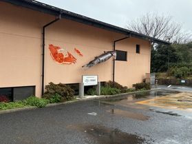 休暇村周辺は雪はございません♪