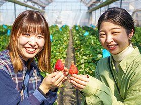 いちご狩りプラン好評販売中!