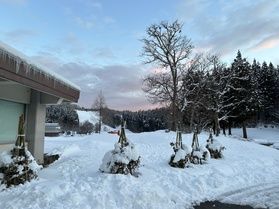 12/29 羽黒山スキー場の積雪＆ホテルの空室について