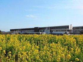 新年明けましておめでとうございます。