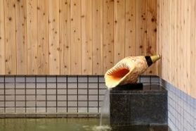 年末年始も日帰り入浴できます♨<br>１月換水日のお知らせ