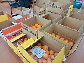有田みかん買いに行って来ました♪