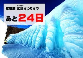 現在の氷濤まつり会場の様子