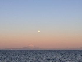 お天気と運次第!?