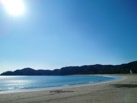 まだの方は要チェック⁉