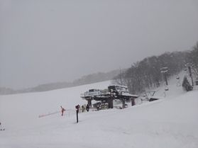 昨日からの積雪20㎝!網張温泉でスキーを楽しみましょう!