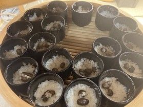 山の恵みを味わえるむかごご飯