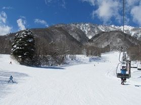 スキー場、どこがオススメ？
