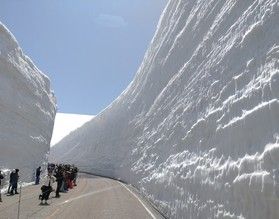 アメージング!雪の大谷ツアーに出かけませんか!