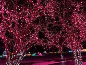 小岩井農場イルミネーションは1月18日までです♪