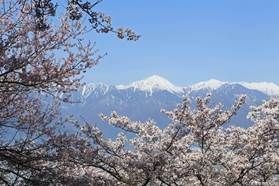【爺が岳スキー場】お得なレディースプラン⭐