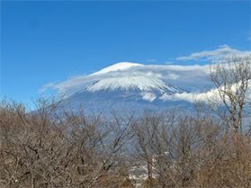 絶景の富士山と早咲きの梅