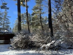 安曇野のお天気⛄　雪景色が広がっています！