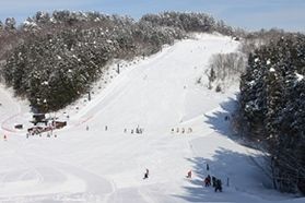 1/18(日)は「スキー子どもの日」!!
