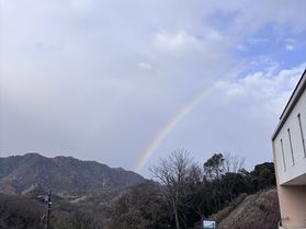 虹が現れました🌈