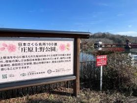 晴れた日には公園でお散歩はいかが?