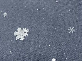 【冬の楽しみ】雪の結晶が舞う♪