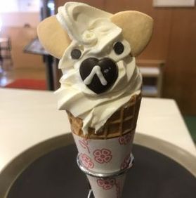 かわいい秋田犬のソフト！？