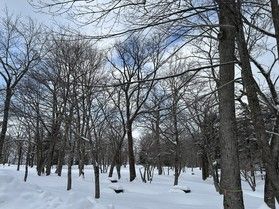 オフピーク旅でお得に泊まろう!