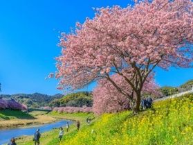 オフピーク旅で1000円割引&1000ポイントプレゼント!