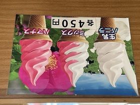 お花のソフトクリーム?!