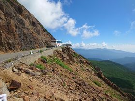 真冬に真夏のご予約案内