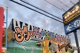 めっちゃおもろい動物園！？