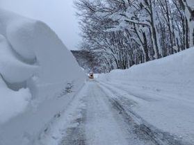 休暇村周辺の最新♪雪景色♪