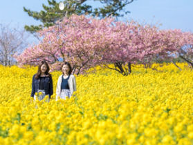 【渥美・田原】2月-3月のイベント・観光情報【豊橋・豊川】