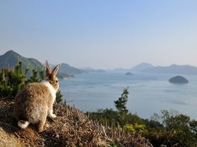 期間限定!2泊連泊割引プラン!