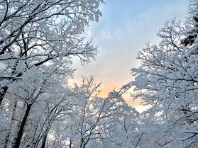2月11日(水)まで日帰り入浴をお休みします