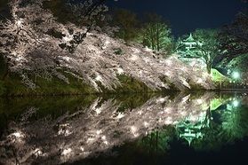 【バスで楽々移動♪】<br>夜桜バス付き宿泊プラン