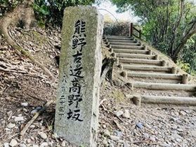 熊野古道 高野坂 ~冬の散歩道 15PM~