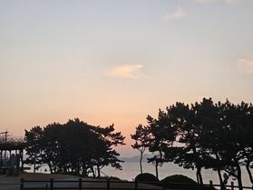 島内で最近撮影した写真をご紹介♪ part2
