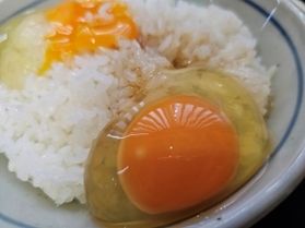 こだわりぬいた「卵かけごはん」