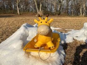 雪や寒いイメージが強い２月ですが、実はイベントが多いのでは？
