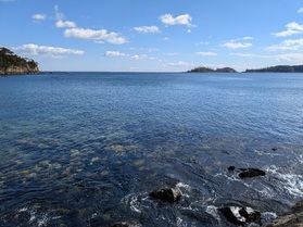 早春の散歩道「若木浜」
