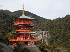 久しぶりの熊野古道大門坂を歩く