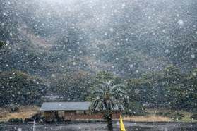 指宿の初雪