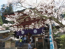 丹生都比売神社 花盛祭 4月12日斎行