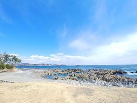 早春の散歩道「岩井崎」