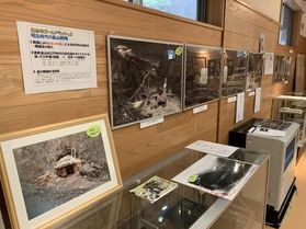 鹿折金山跡