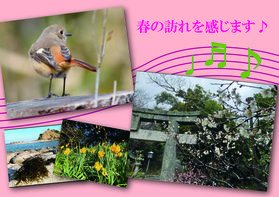 春の訪れを感じます♪